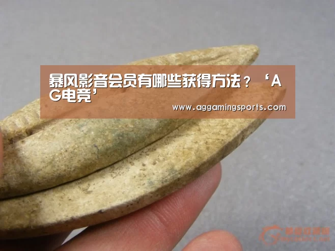 暴风影音会员有哪些获得方法?‘AG电竞’(图1) 暴风影音会员有哪些获得方法?‘AG电竞’(图1)
