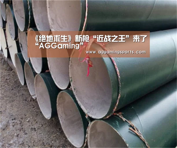 《绝地求生》新枪“近战之王”来了“AGGaming”(图3) AG电竞