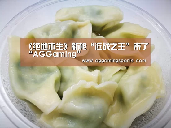《绝地求生》新枪“近战之王”来了“AGGaming”(图1) AG升级