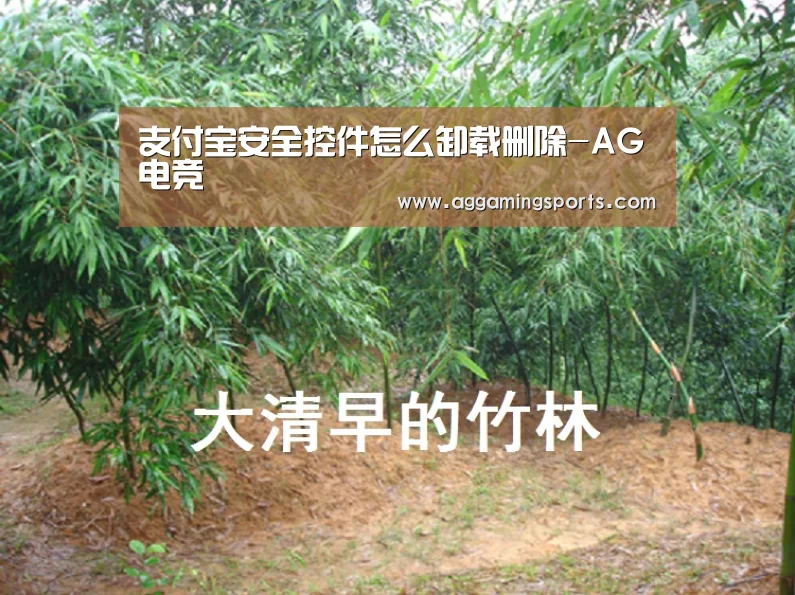支付宝安全控件怎么卸载删除-AG电竞(图2) AG电子