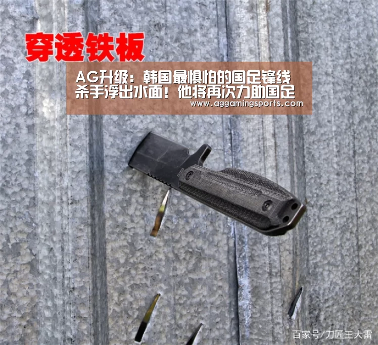 AG升级:韩国最惧怕的国足锋线杀手浮出水面!他将再次力助国足击败韩国(图1) AG电子