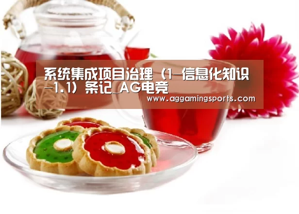 系统集成项目治理(1-信息化知识-1.1)条记_AG电竞(图1) AG电竞