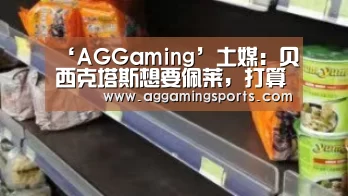 AG电竞