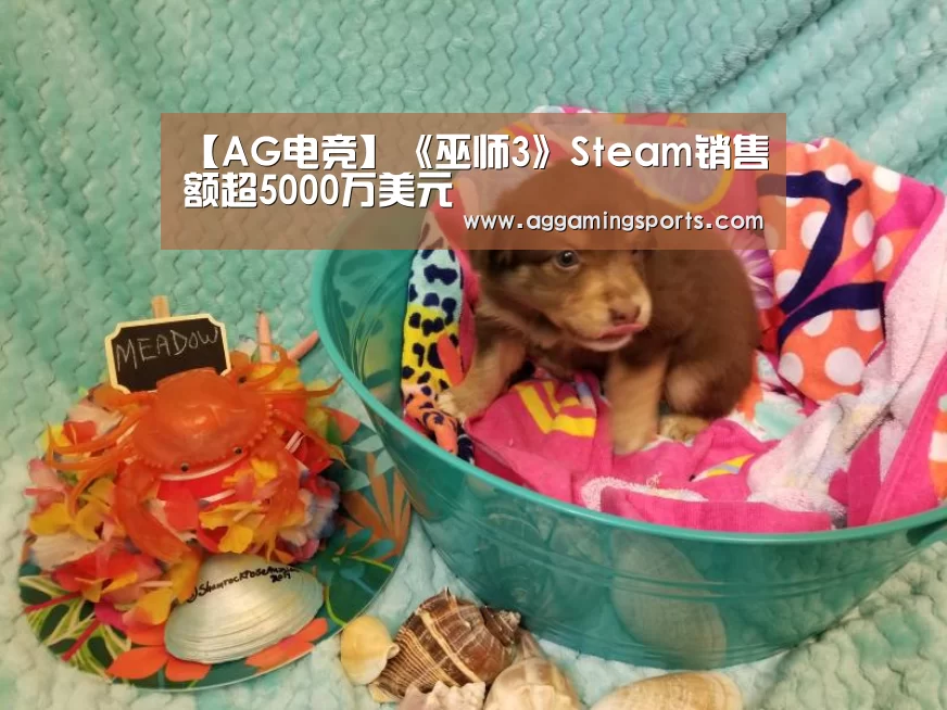 【AG电竞】《巫师3》Steam销售额超5000万美元(图1) AG电子