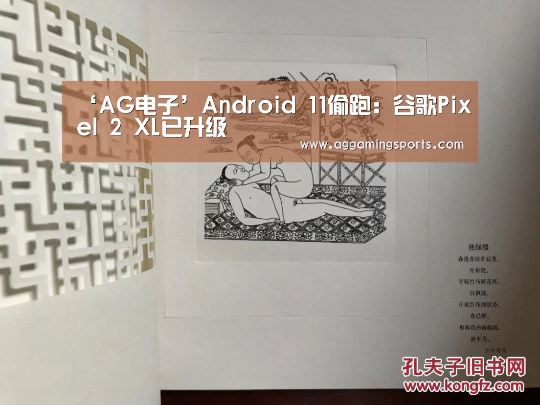 ‘AG电子’Android 11偷跑:谷歌Pixel 2 XL已升级(图1) ‘AG电子’Android 11偷跑:谷歌Pixel 2 XL已升级(图1)