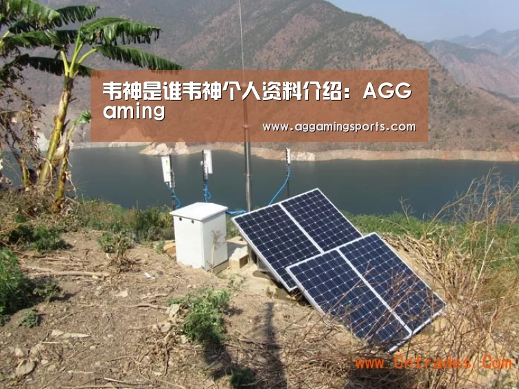 韦神是谁韦神个人资料介绍:AGGaming(图3) 韦神是谁韦神个人资料介绍:AGGaming(图3)