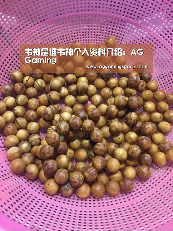 韦神是谁韦神个人资料介绍:AGGaming(图2) AG升级