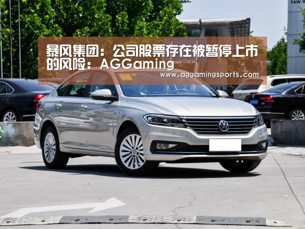 暴风集团:公司股票存在被暂停上市的风险:AGGaming(图4) 暴风集团:公司股票存在被暂停上市的风险:AGGaming(图4)